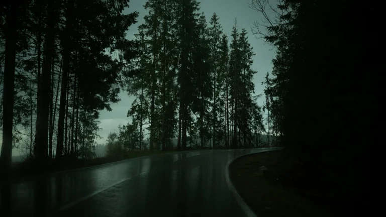 A dark, wet road curving through a dense forest at dusk