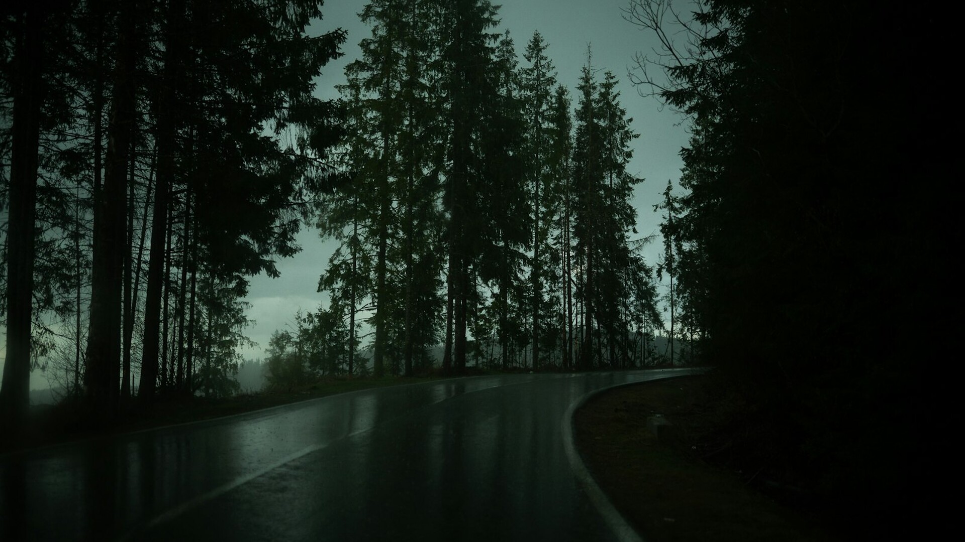 A dark, wet road curving through a dense forest at dusk