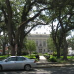 A silver sedan parked on Main Street in front of the Terrebonne Parish Courthouse in Houma, Louisiana, framed by live oak trees