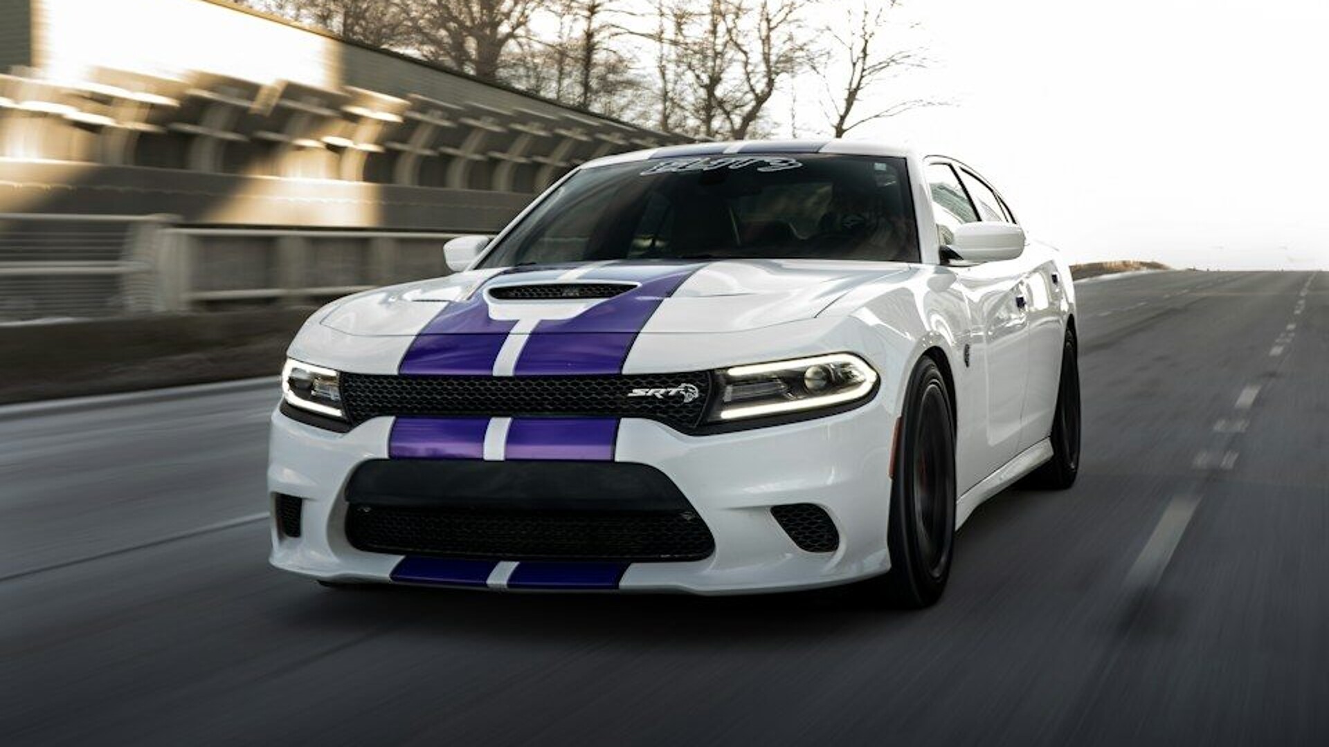 White car with purple stripes driving on road