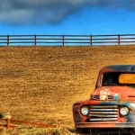 A weathered old Ford pickup truck abandoned in a field