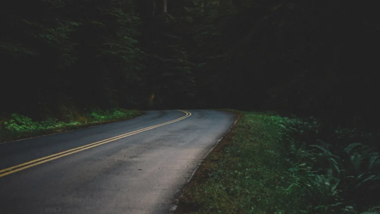 Road bending through a dark forest