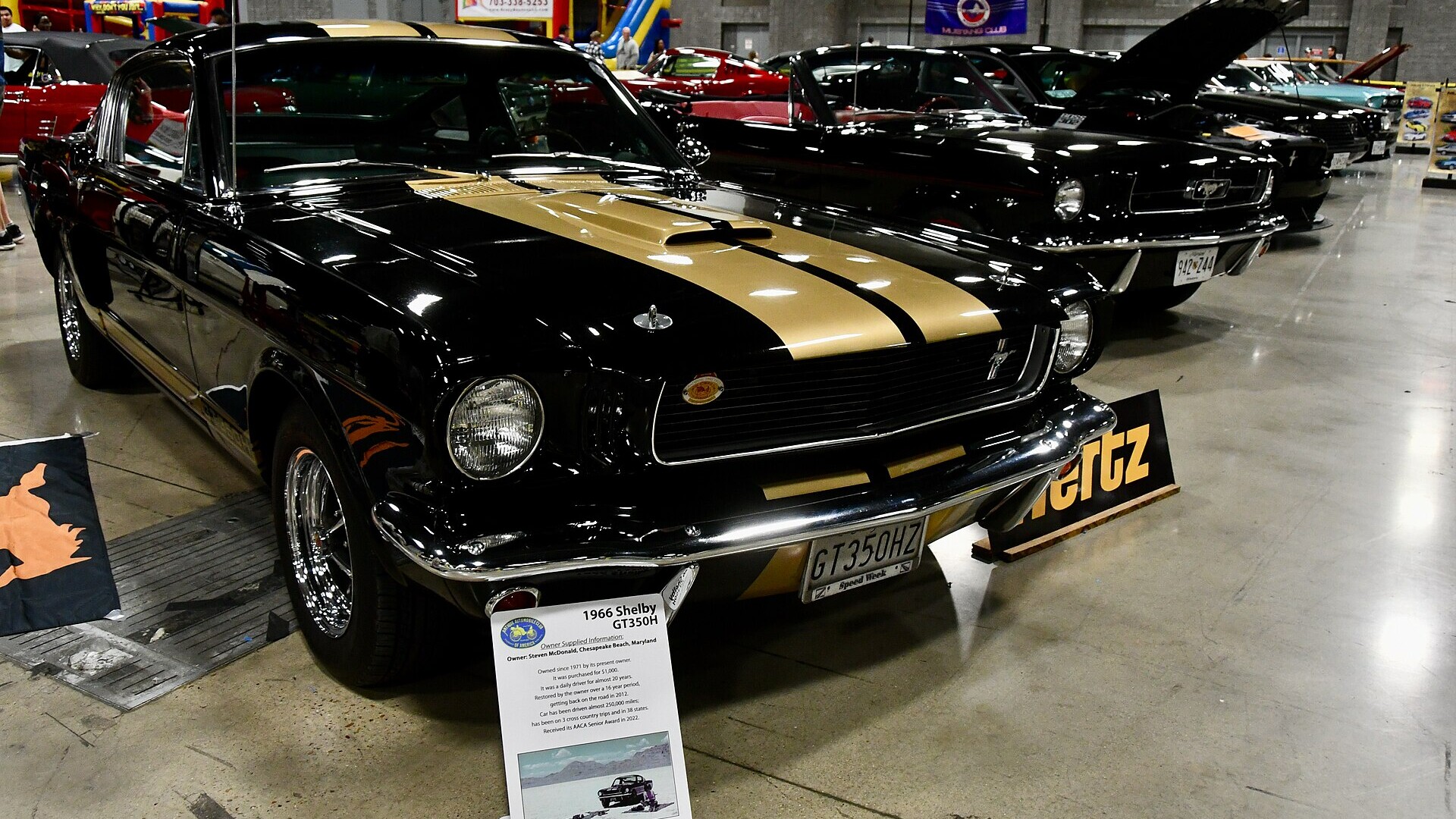 Black and gold 1966 Shelby GT350H Hertz rental car